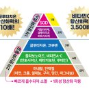 나와모랩