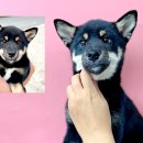 포항시남구25 이미지