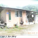 봉화산 양봉원 티스토리