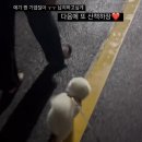 이정하수제돈까스 | 잔잔한 일상에 감사하다 !