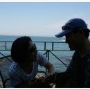 돌고래횟집 이미지