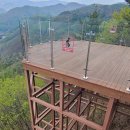 태백고원 700 산소길 | [강원태백여행75] 태백의 봄을 깨우다 &#34;대조봉전망대&#34;