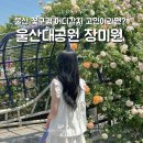 파크장 - 중구 광복로12번길 7-7 | 울산 꽃구경 어디갈지 고민이라면? 울산대공원 장미원 후기 주차정보