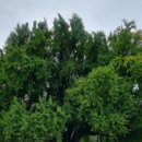 태백산한우촌 이미지