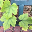 즐거운시간 이미지