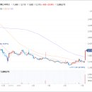 에스엘에스바이오 이미지