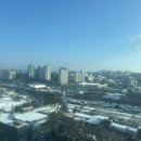 지산 행정사 이미지