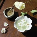 산방PC Daum카페