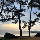신진펜션호텔 | 충남 보령펜션 추천, 요양하러 방문했던 오션뷰펜션