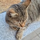남해 더왕 글램핑 이미지