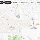선파인