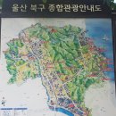호계장터