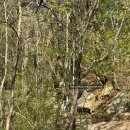 (주)덴티스울산지점 | 관악산 연주대 등산코스 후기 ㅣ 과천향교 → 연주대 3.2km 주말 줄 서는 팁까지