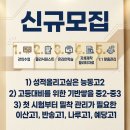 백담광고