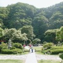 손수가든 티스토리