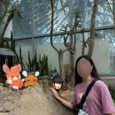 여미지식물원 | 2025 포켓몬 제주원더아일랜드 스탬프투어 최종장소 여미지식물원 방문 후기 (⚠️스압주의)