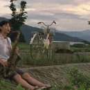 이미지업 - 전주시 완산구 용머리로 80 | 이미지업