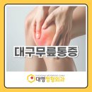 강화대영스포츠