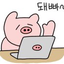 서촌김씨오스테리아 이미지