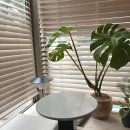 미성세탁 | 구로디지털역 카페 [ 플롬 ] 조용하고 힐링이 가능한 커피 맛집 구디 카페 내돈내산 후기 ~