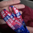 등임 | 2025 입크페스티벌 IBK 페스티벌 후기 (음식, 라인업 등)