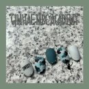 카모네일 이미지