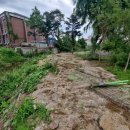 경포대초등학교 이미지