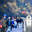 화천산소길 이미지