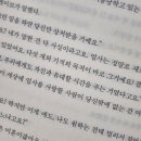 숲과별 이미지