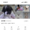 펫 애견샵 이미지