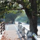 죽림LPG주유소 이미지