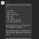데이디어