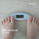 📌Day 9.소푸의 여정-《95.2kg – 다이어트 외식 이렇게만 먹으면 됩니다》 “버섯·곤약젤리·집밥...