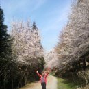 해오름길 이미지