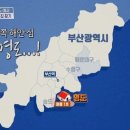 부산에서 혼자 산다면 어떤 집을 고를까 (스압) 이미지