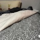 대원세탁 | 🌙 겨울 필수템 전기요 추천 | 3년째 고장 없이 쓰는 대원 DW-THEAHN201 솔직 후기