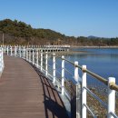 진동면사무소 이미지