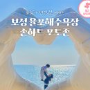 2/14~17 완도의 숨은보석 &#34;금당도&#34;,강진,고흥,보성,장흥삼합 맛탐여행 이미지