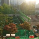 언주초등학교 이미지