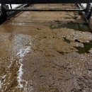 가성농장 이미지