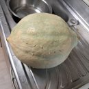 상리단호박 씨앗 차비나눔 이미지