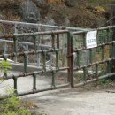 영일목장 이미지