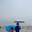 몽산포주차장 이미지