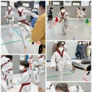 행복한 나라찬 태권도장 네이버블로그