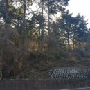 사량초등학교읍덕분교장 이미지