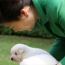 사슴건강원 이미지