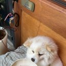 김포당