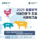 국제 이미지