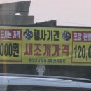 남당리어부횟집