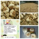 참생명영농조합법인 이미지